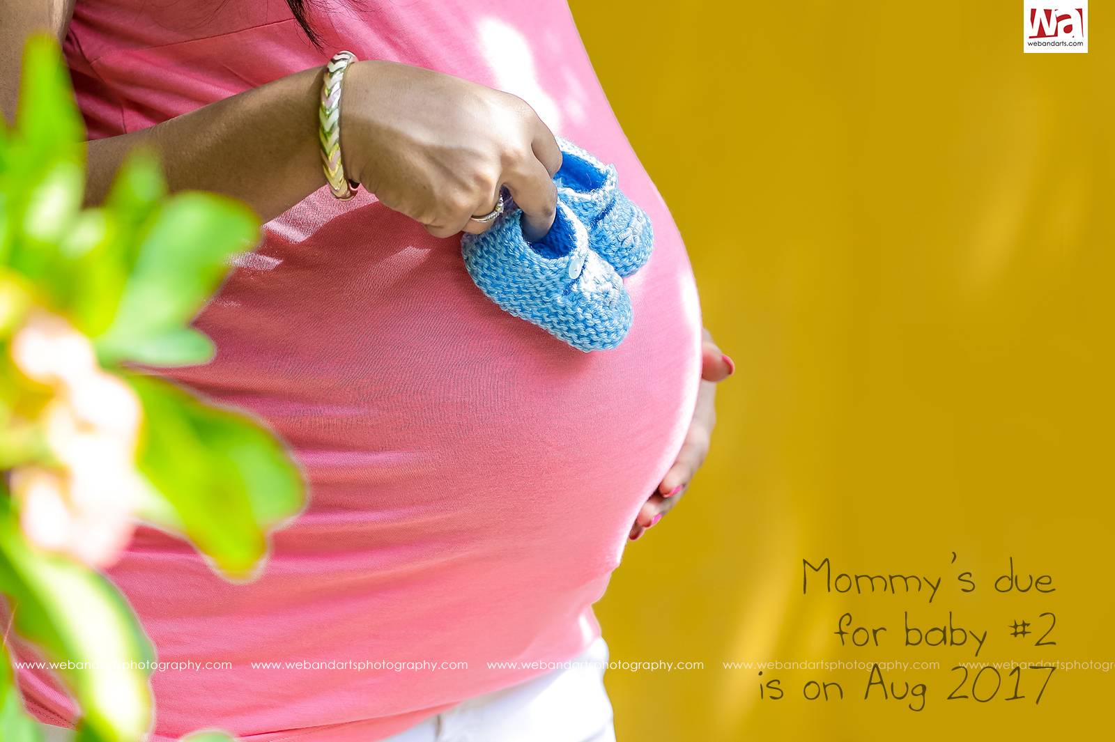 maternity_shoot_photography_second_baby_shoot_india-461